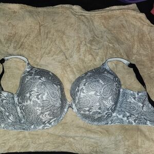 Cacique Black and White Bra